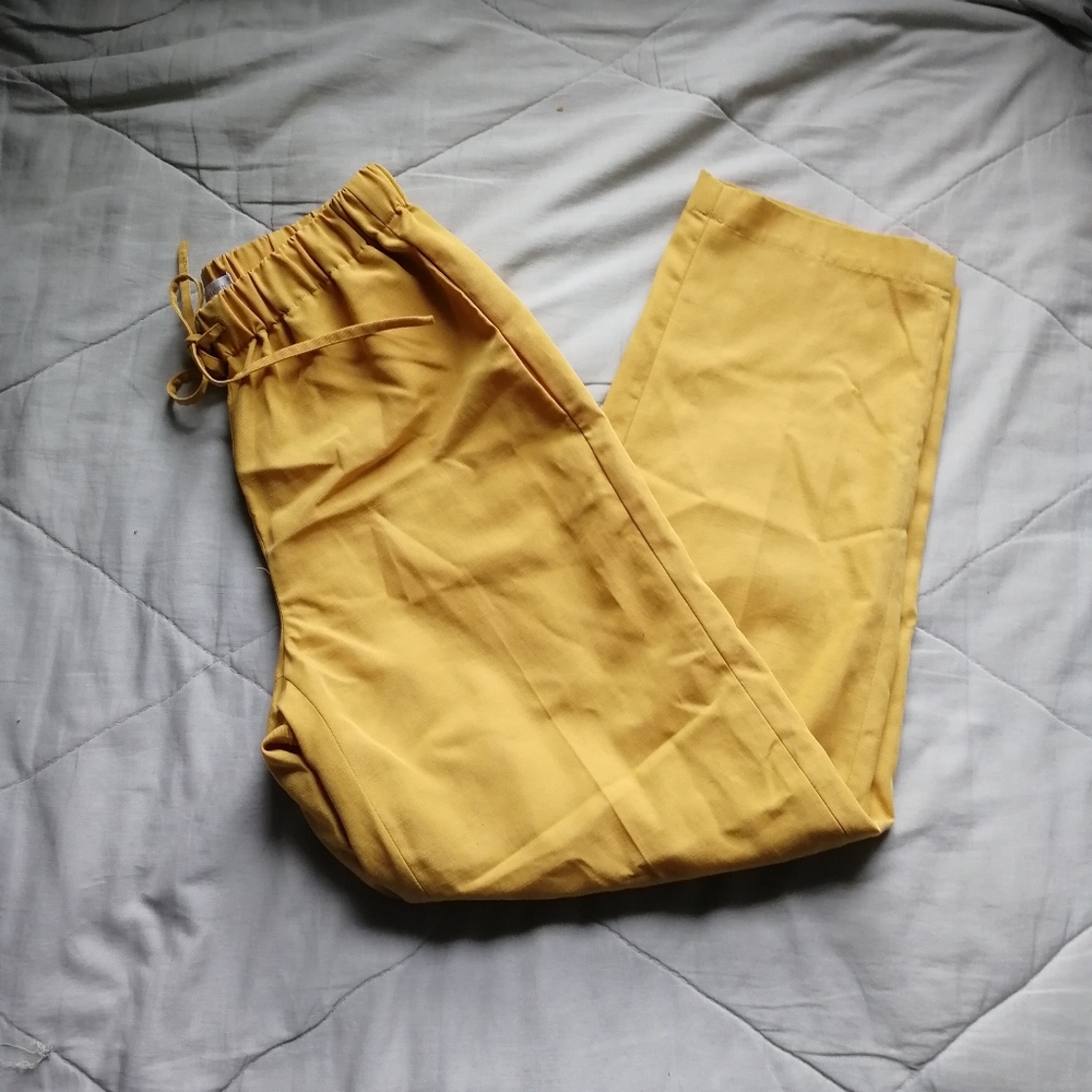 BABATON The Group Gold Jimmy pant Drawstring trouser Work pants XXS Aritzia